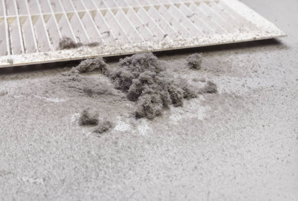 Best Air Duct Cleaning Near Me  in Rockport, IN