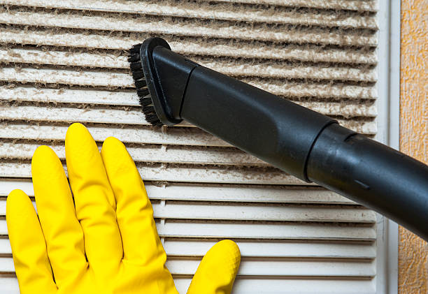 Best Local Air Duct Cleaning Services  in Rockport, IN